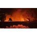 بازی Skully مناسب Xbox